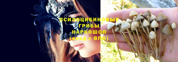 гашиш Богданович
