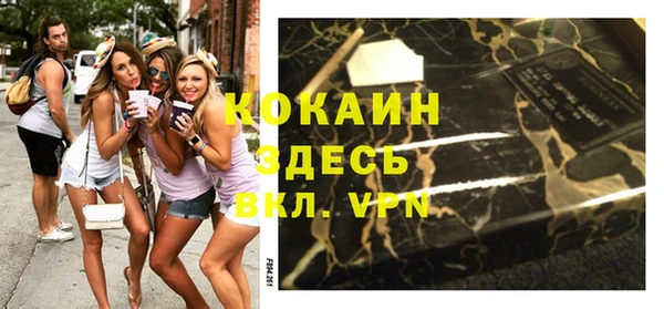 гашиш Богданович