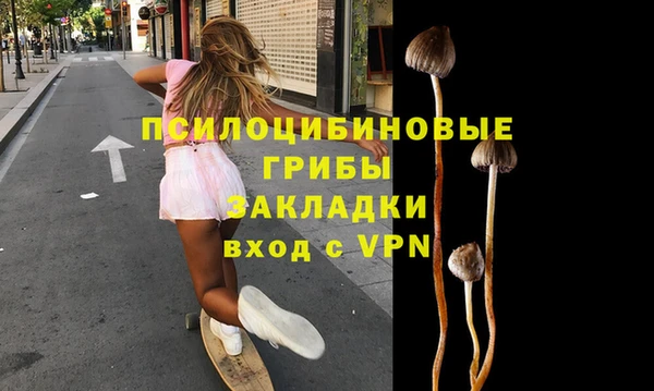 гашиш Богданович
