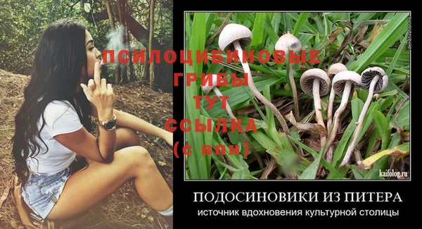 mix Богородицк