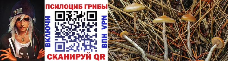 Псилоцибиновые грибы MAGIC MUSHROOMS  Козьмодемьянск 